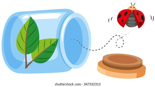 Ladybug flying out of the jar illustration
