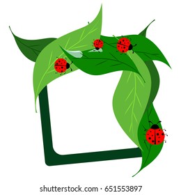 ladybug frame