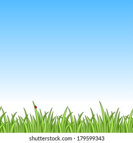 Ladybug in fresh green grass. Nature background for your design