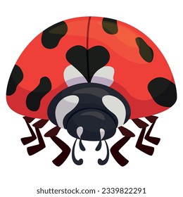 Ladybug front view coccinellid red insect with black dots paws and antennae vector flat illustration. Ladybird bright flying beetle colorful summer natural bug vibrant small crawling wildlife creature