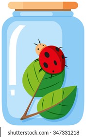 Ladybug in the glass jar illustration