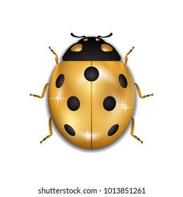 Ladybug gold insect small icon. Golden metal lady bug animal sign, isolated on white background. 3d volume bright design. Cute shiny jewelry ladybird. Lady bird closeup beetle. Vector illustration