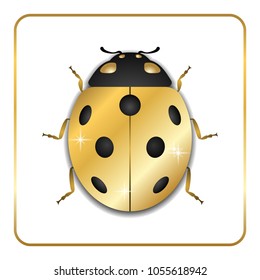 Ladybug gold insect small icon. Golden metal lady bug animal sign, isolated on white background. volume bright design. Cute shiny jewelry ladybird. Lady bird closeup beetle. Vector illustration