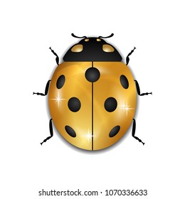 Ladybug gold insect small icon. Golden lady bug animal sign, isolated on white background. 3d volume design. Cute jewelry ladybird design. Cartoon lady bird closeup beetle. Vector illustration