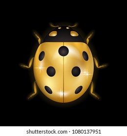 Ladybug gold insect small icon. Golden lady bug animal sign, isolated on black background. 3d volume design. Cute jewelry ladybird design. Cartoon lady bird closeup beetle. Vector illustration