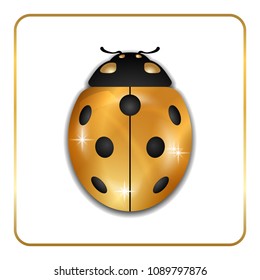 Ladybug gold insect small icon. Golden metal lady bug animal sign, isolated on white background. 3d volume bright design. Cute shiny jewelry ladybird. Lady bird closeup beetle Vector illustration