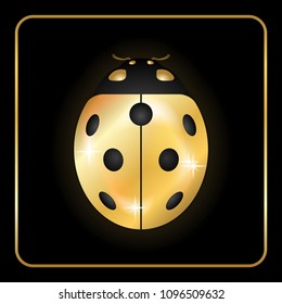 Ladybug gold insect small icon. Golden lady bug animal sign, isolated on black background. 3d volume design. Cute jewelry ladybird design. Cartoon lady bird closeup beetle Vector illustration