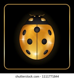 Ladybug gold insect small icon. Golden metal lady bug animal sign, isolated on black background. Volume bright design. Cute shiny jewelry ladybird. Lady bird closeup beetle Vector illustration