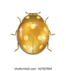 Ladybug gold insect small icon. Golden metal lady bug animal sign, isolated on white background. 3d volume bright design. Cute shiny jewelry ladybird. Lady bird closeup beetle. Vector illustration