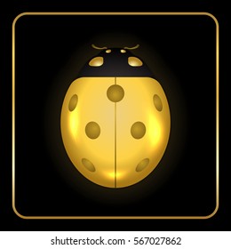 Ladybug gold insect small icon. Golden metal lady bug animal sign, isolated on black background. 3d volume bright design. Cute shiny jewelry ladybird. Lady bird closeup beetle. Vector illustration