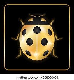 Ladybug gold insect small icon. Golden metal lady bug animal sign, isolated on black background. 3d volume bright design. Cute shiny jewelry ladybird. Lady bird closeup beetle. Vector illustration