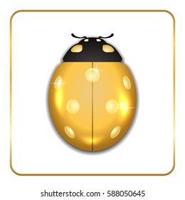 Ladybug gold insect small icon. Golden metal lady bug animal sign, isolated on white background. 3d design. Cute shiny ladybird. Lady bird closeup beetle. Vector illustration