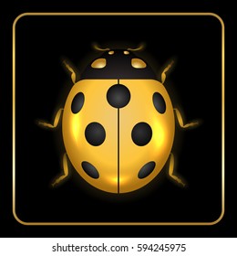 Ladybug gold insect small icon. Golden metal lady bug animal sign, isolated on black background. 3d volume bright design. Cute shiny jewelry ladybird. Lady bird closeup beetle. Vector illustration