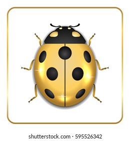 Ladybug gold insect small icon. Golden metal lady bug animal sign, isolated on white background. 3d volume bright design. Cute shiny jewelry ladybird. Lady bird closeup beetle. Vector illustration