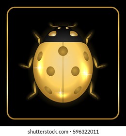 Ladybug gold insect small icon. Golden metal lady bug animal sign, isolated on black background. 3d volume bright design. Cute shiny jewelry ladybird. Lady bird closeup beetle. Vector illustration