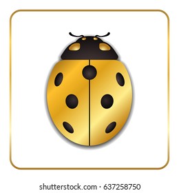 Ladybug gold insect small icon. Golden metal lady bug animal sign, isolated on white background. 3d design. Cute ladybird. Lady bird beetle. Vector illustration