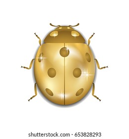 Ladybug gold insect small icon. Golden lady bug animal sign, isolated on white background. 3d design. Cute ladybird. Lady bird beetle. Vector illustration