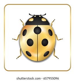 Ladybug gold insect small icon. Golden metal lady bug animal sign, isolated on white background. 3d volume bright design. Cute shiny jewelry ladybird. Lady bird closeup beetle. Vector illustration