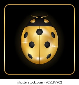 Ladybug gold insect small icon. Golden lady bug animal sign, isolated on black background. 3d volume design. Cute jewelry ladybird design. Cartoon lady bird closeup beetle. Vector illustration