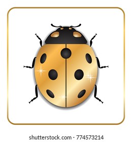 Ladybug gold insect small icon. Golden metal lady bug animal sign, isolated on white background. 3d volume bright design. Cute shiny jewelry ladybird. Lady bird closeup beetle. Vector illustration