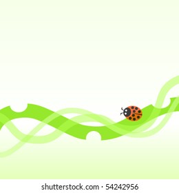 ladybug and grass background