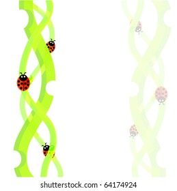 ladybug and grass background