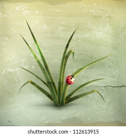 Ladybug and grass, old-style vector
