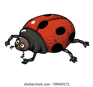 Ladybug hand drawn image. Original colorful artwork, comic childish style drawing.