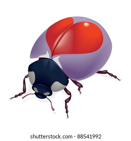 Ladybug with hearts. Illustration on white background