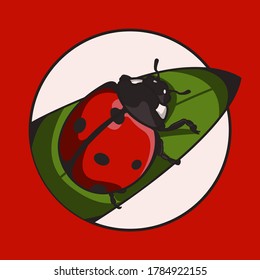 Ladybug is hold onto top op leaf with circle background on red background