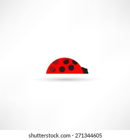 Ladybug icon