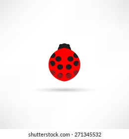 Ladybug icon