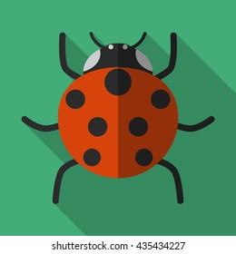 Ladybug Icon