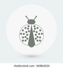 ladybug icon