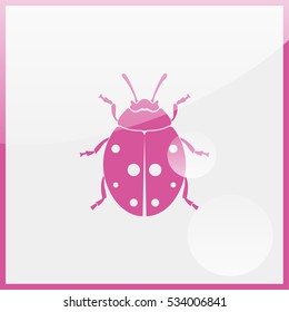 Ladybug Icon.