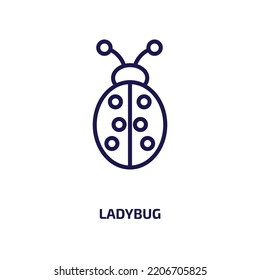 ladybug icon from animals collection. Thin linear ladybug, nature, bee outline icon isolated on white background. Line vector ladybug sign, symbol for web and mobile