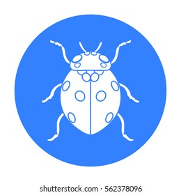 Ladybug icon in black style isolated on white background. Insects symbol stock vector illustration.
