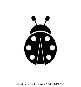 ladybug  icon black vector sign