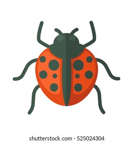 Ladybug. Icon of bright small insect with antenna. Cartoon vector illustration in flat style isolated on white background.