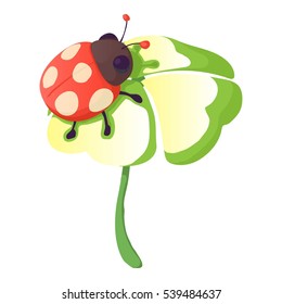 Ladybug icon. Cartoon illustration of ladybug vector icon for web design