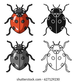 Ladybug icon in cartoon style isolated on white background. Insects symbol stock vector illustration.