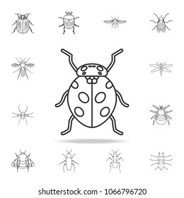ladybug icon. Detailed set of insects line illustrations. Premium quality graphic design icon. One of the collection icons for websites, web design, mobile app on white background