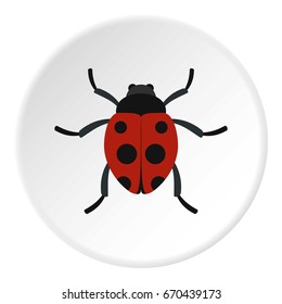 Ladybug icon in flat circle isolated vector illustration for web