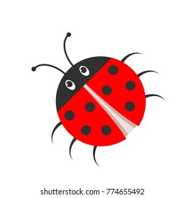 Ladybug icon in flat design. Vector illustration. Red ladybug isolated on white background