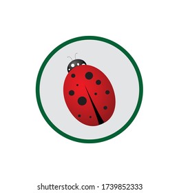 ladybug icon in green circle, save nature, vector illustration
