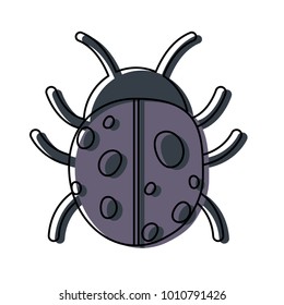 Ladybug icon image