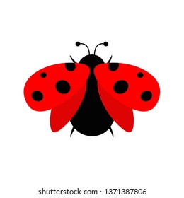 Ladybug icon isolated on white background