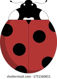 Ladybug Icon isolated on White. Vector Illustration. Flat Graphic Style. Zoological Classes, Holiday Decorative Design.