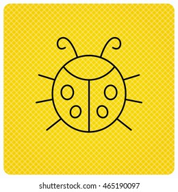 Ladybug icon. Ladybird insect sign. Flying beetle bug symbol. Linear icon on orange background. Vector