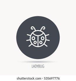 Ladybug icon. Ladybird insect sign. Flying beetle bug symbol. Round web button with flat icon. Vector